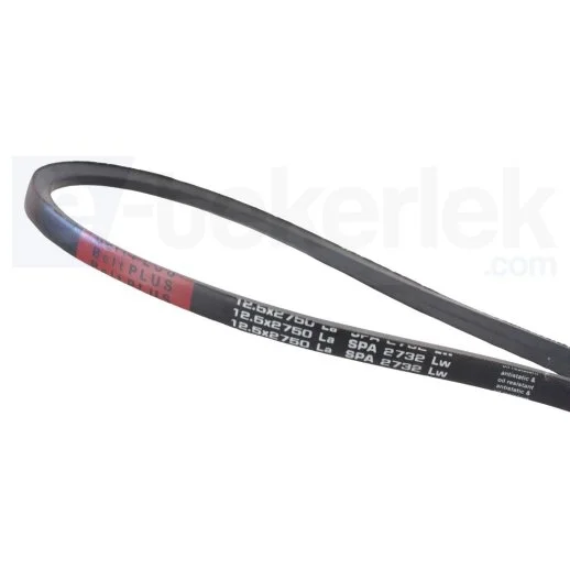 12,5*3000 La BELTPLUS DÜZ V KAYISI SPA 2982 Lw - 2